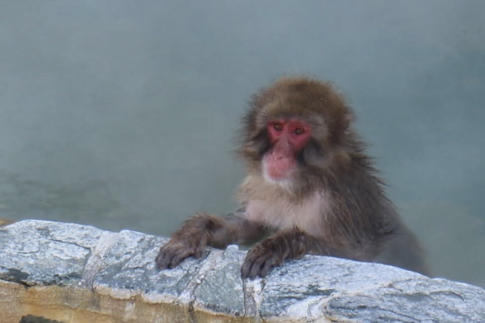 函館市熱帯植物園