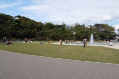 ライブラリー / 函館公園