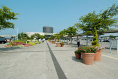 ライブラリー / 函館駅03