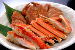 ライブラリー / かに03