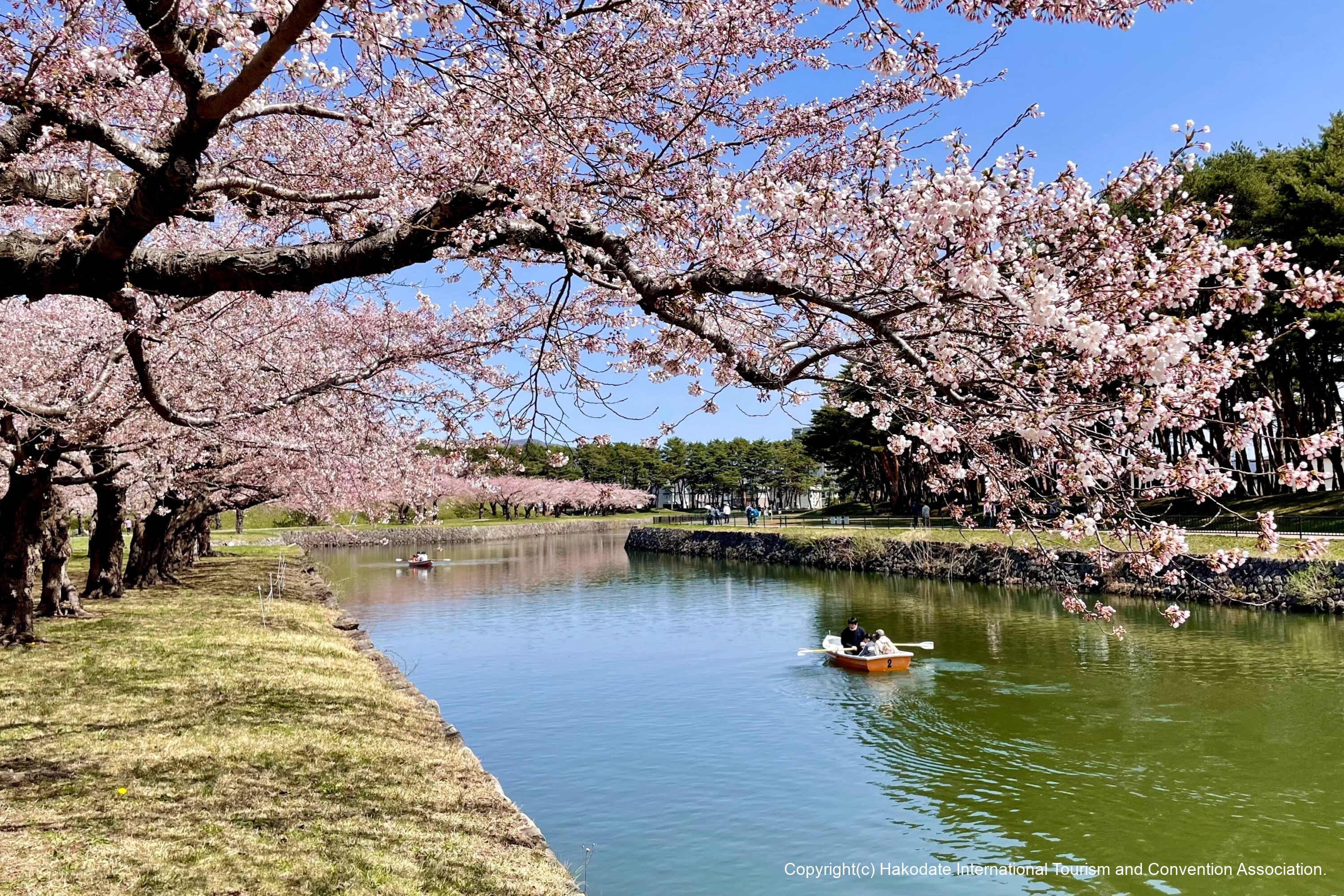 特別史跡五稜郭跡(五稜郭公園)