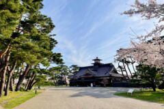 ライブラリー / 五稜郭公園(桜)05