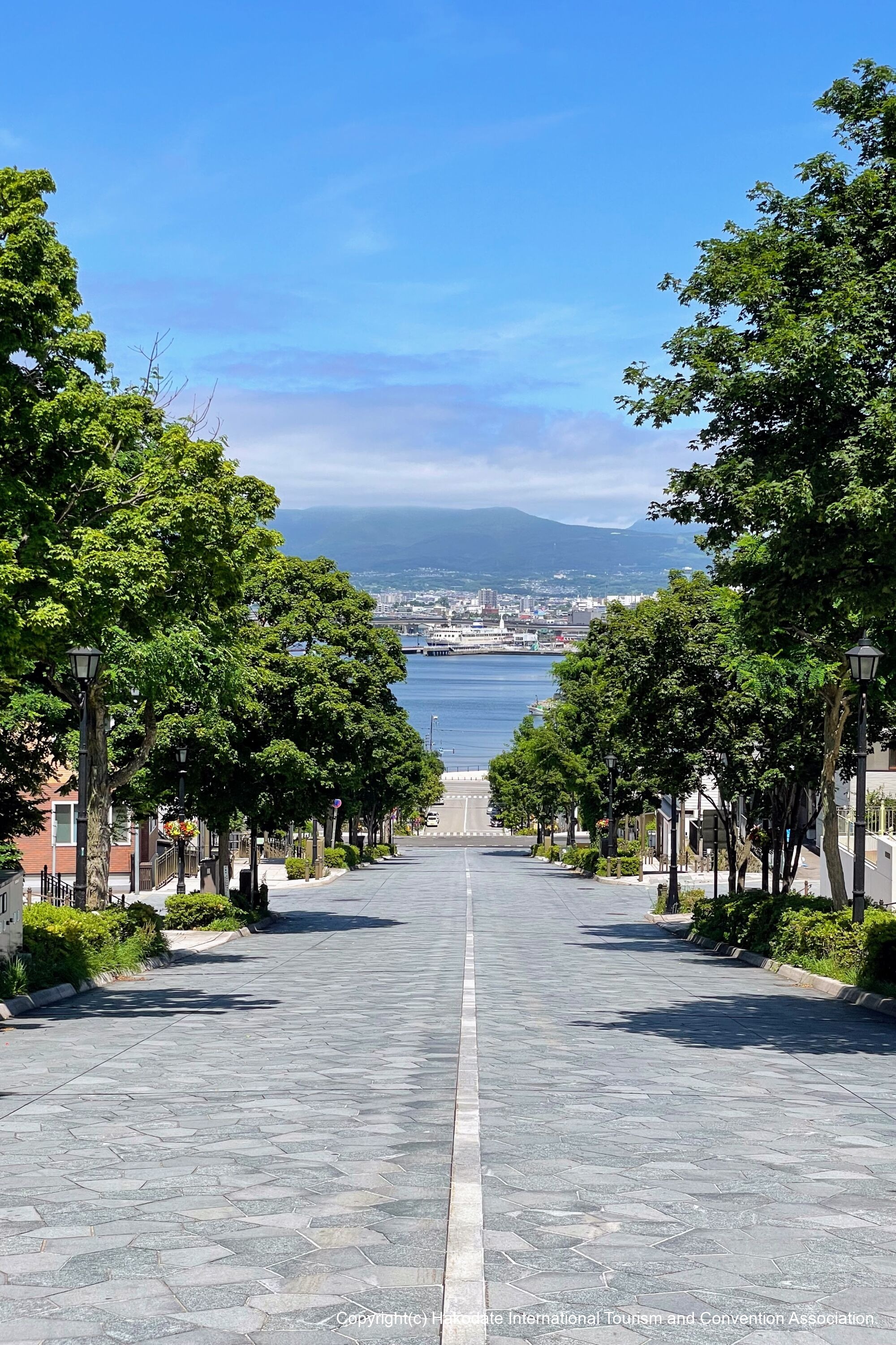 八幡坂03