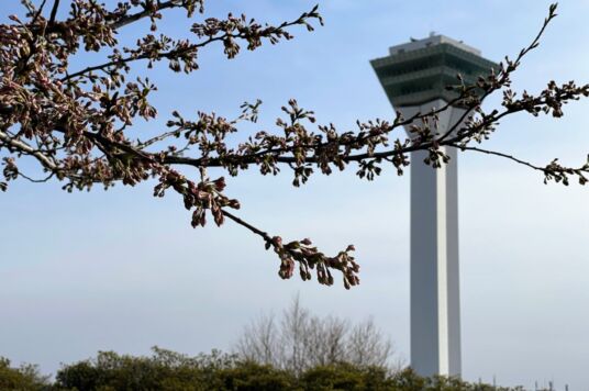 ゴールデンウィーク期間中の営業時間変更のお知らせ🕗