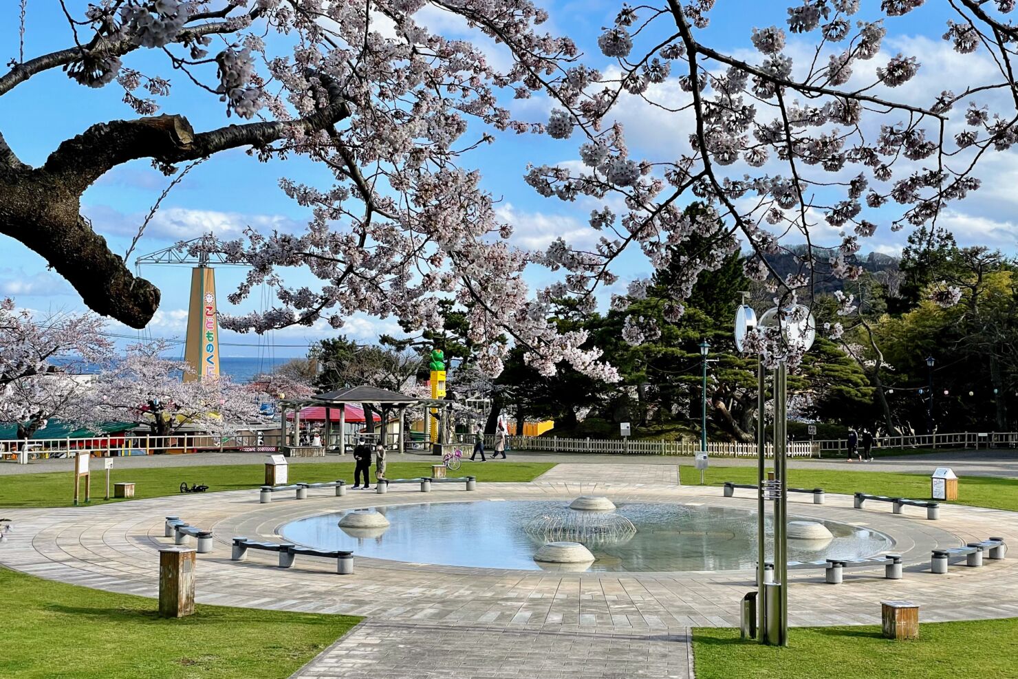 春のお花見観光（元町方面）