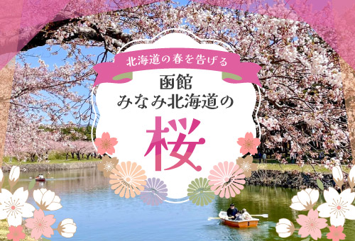 北海道の春を告げる
函館みなみ北海道の桜