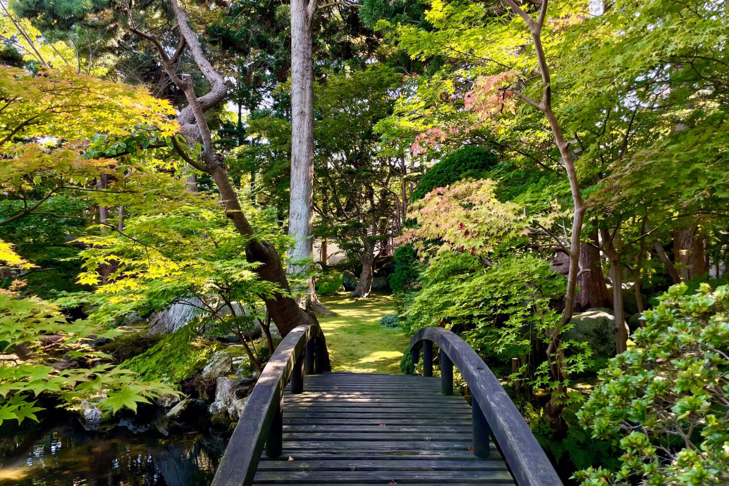 梅村庭園・梅雲亭