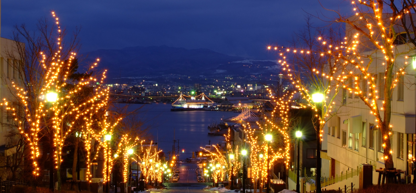 函館・みなみ北海道観光ガイド / 一般社団法人函館国際観光