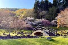 ダム公園４