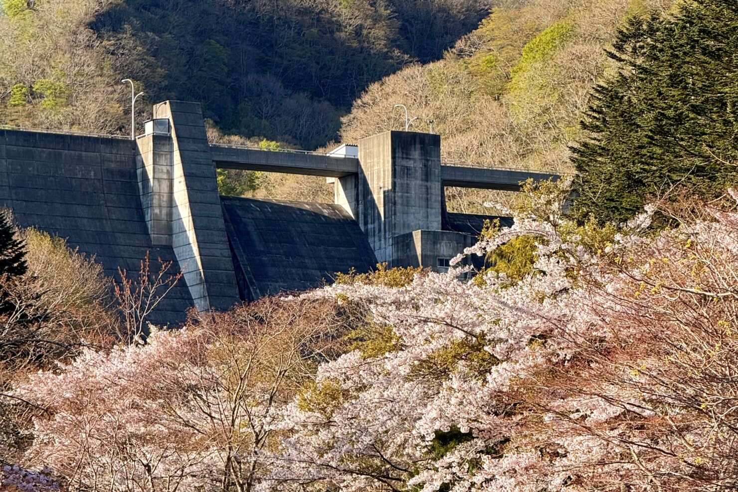 ダム公園５