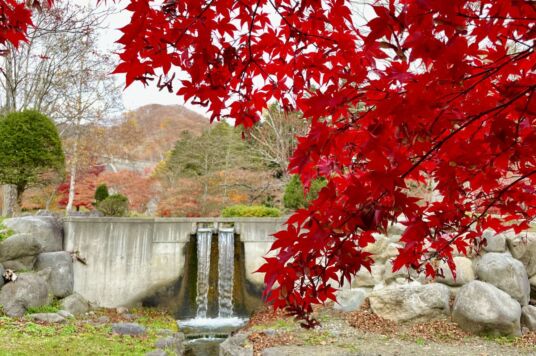 ダム公園１