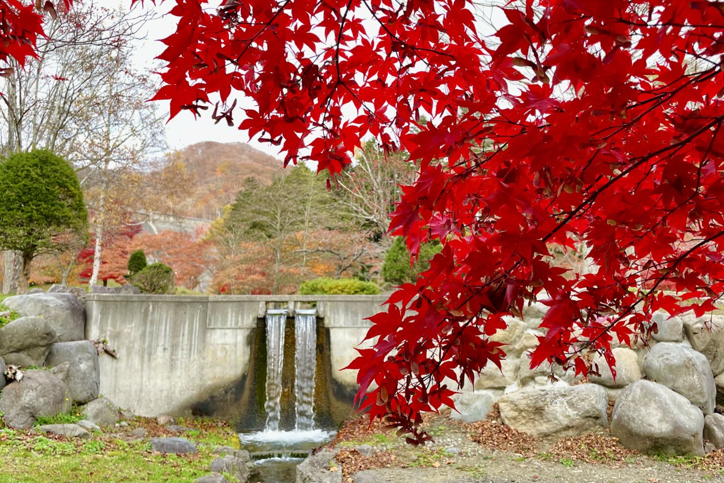 ダム公園１