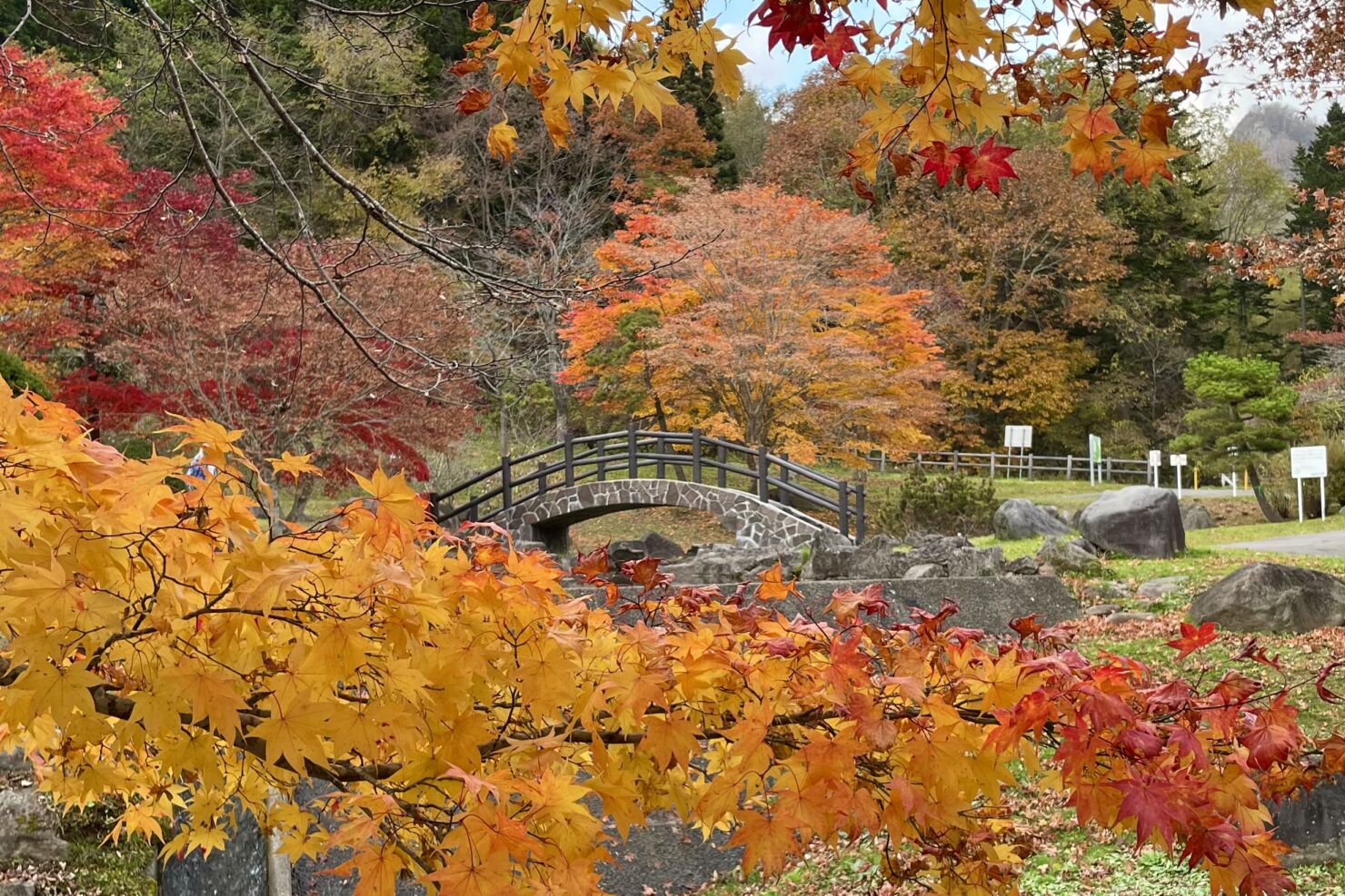 ダム公園２
