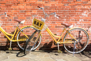 レンタサイクル今シーズンの営業について